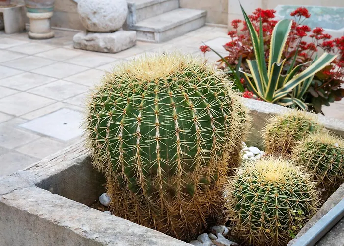 Apartmán Atenaion Otranto